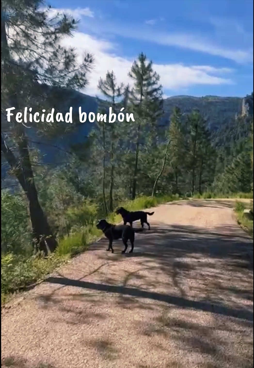 @Dos bombones