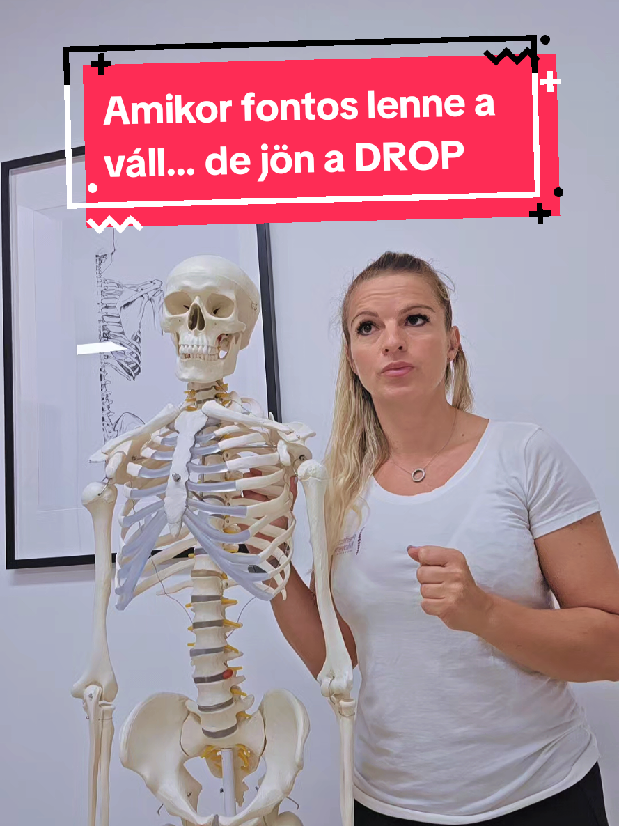 @Melitta Pajk