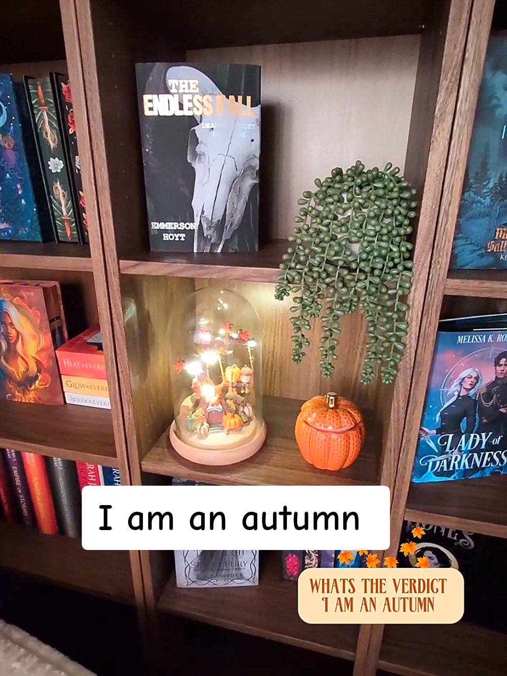@Jasmine Stacey📚