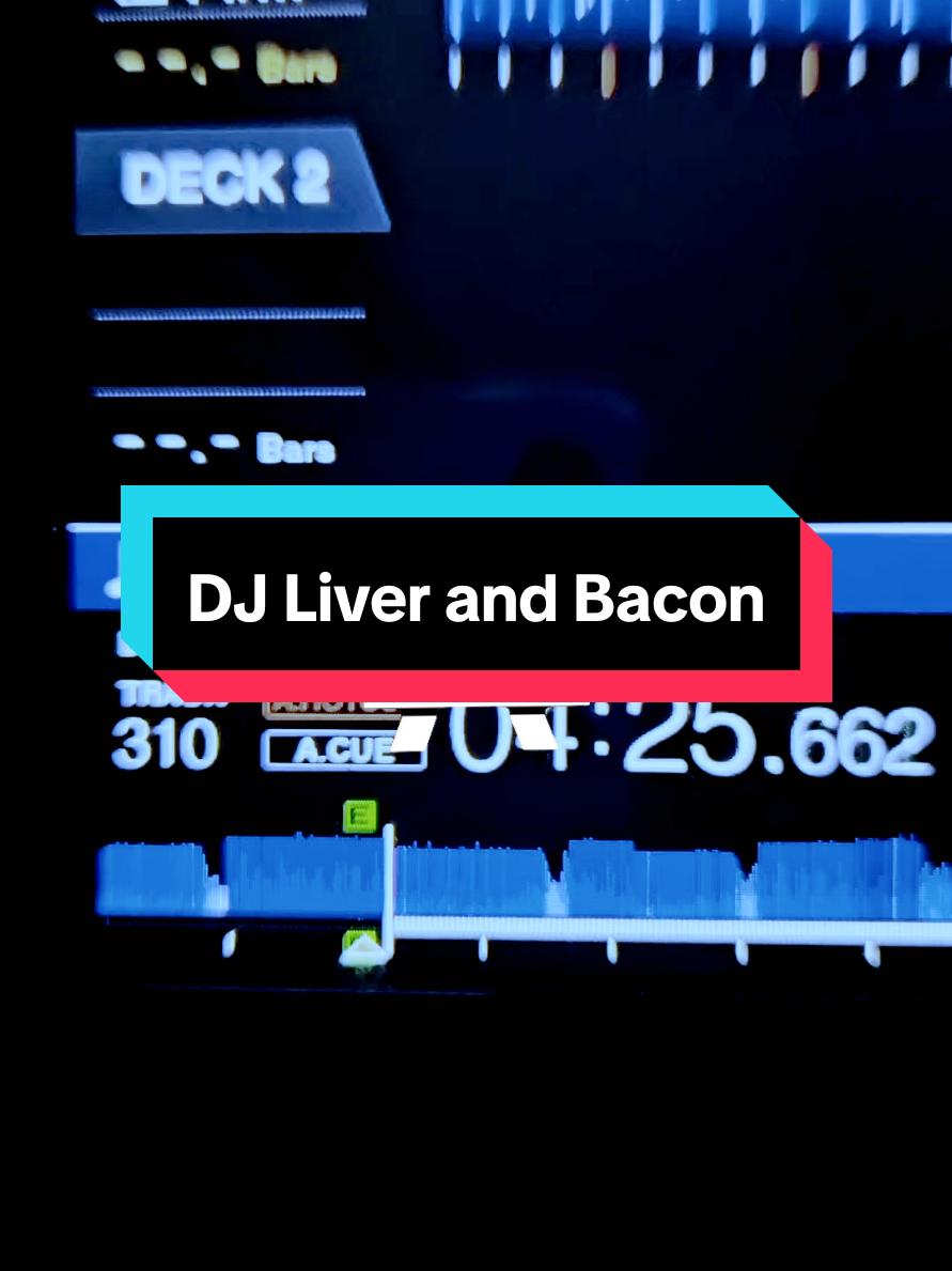 @DJ Liver and Bacon