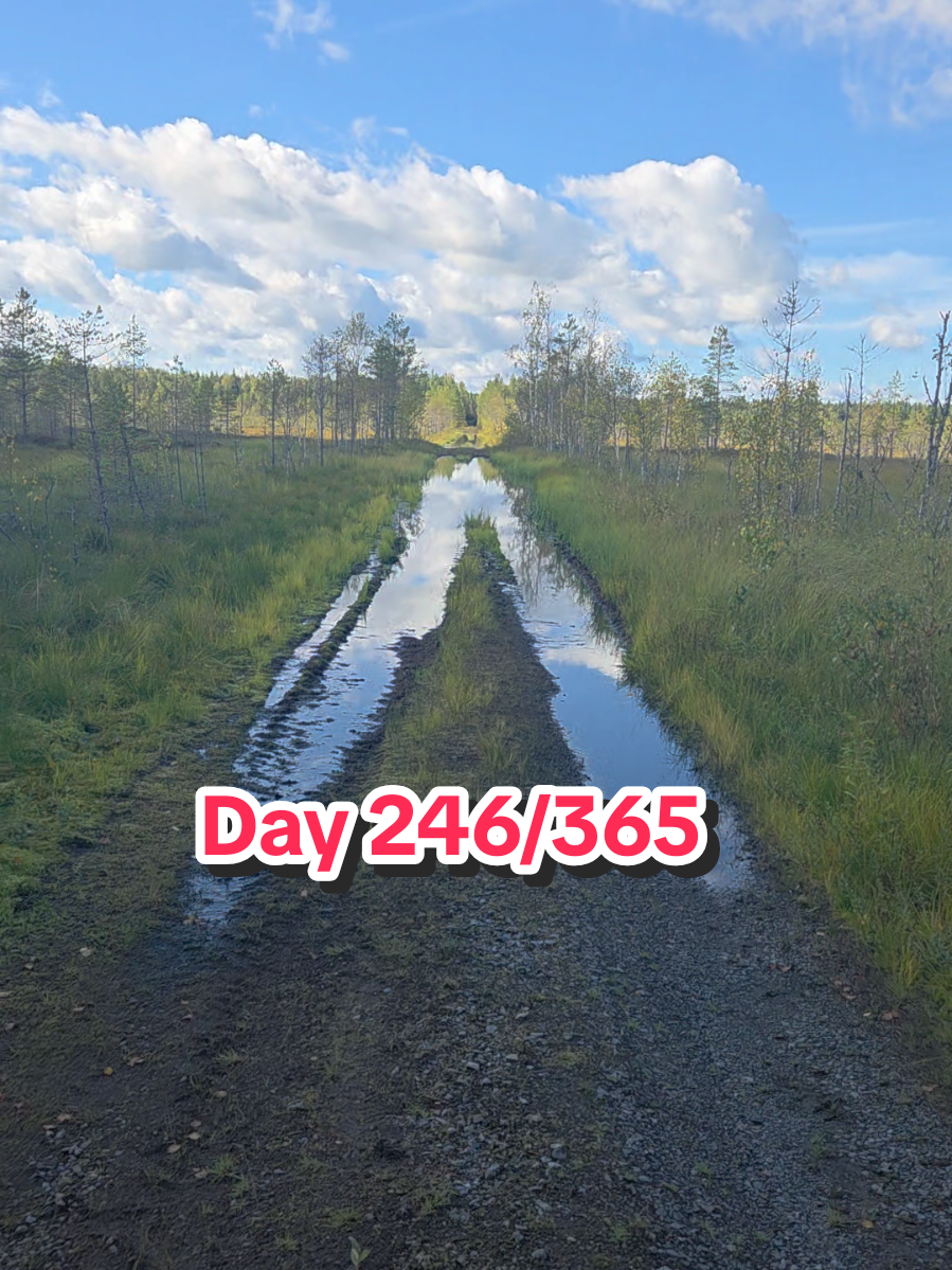 @Linus Selkälä