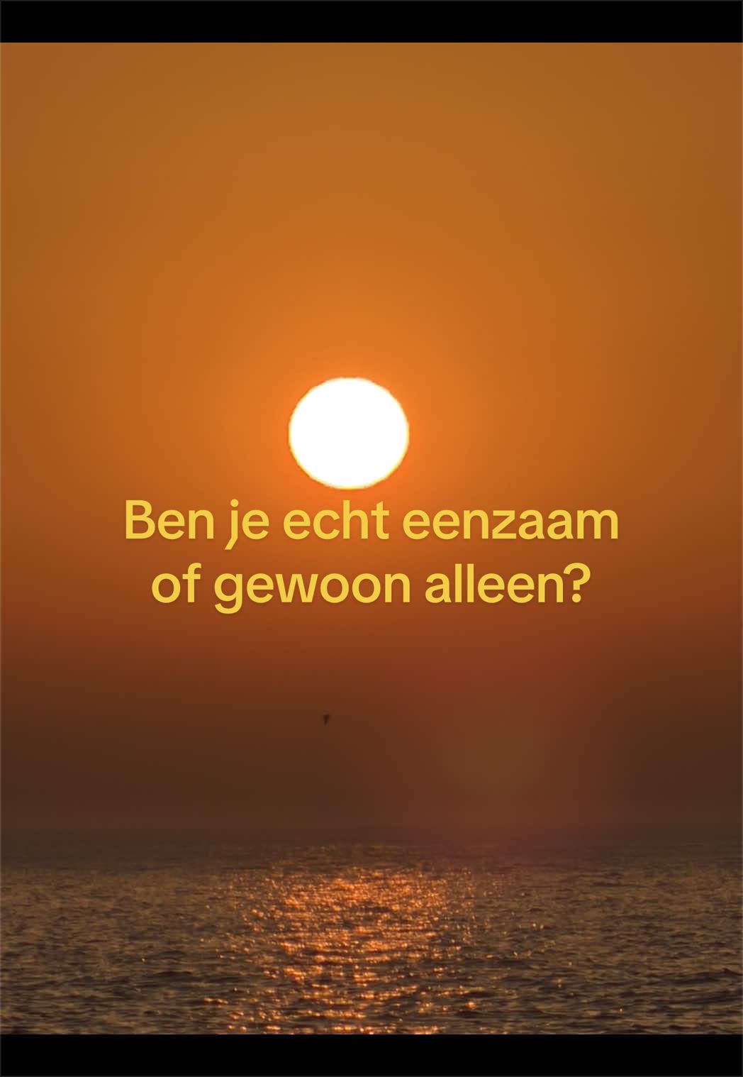 @Krijnpoldervaart_