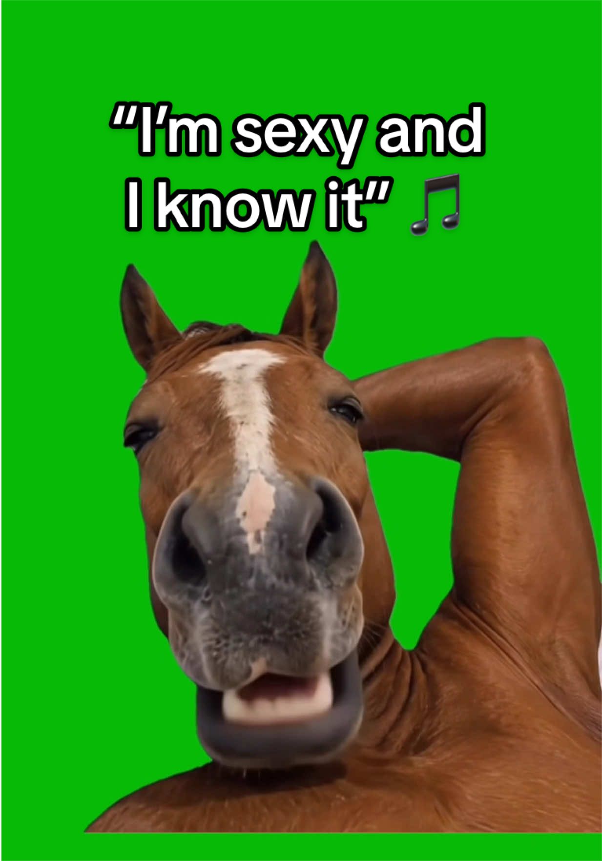 @Viral Green Screen Hub