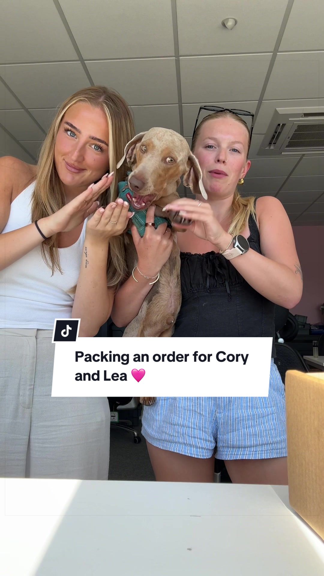 @Sassy Scents