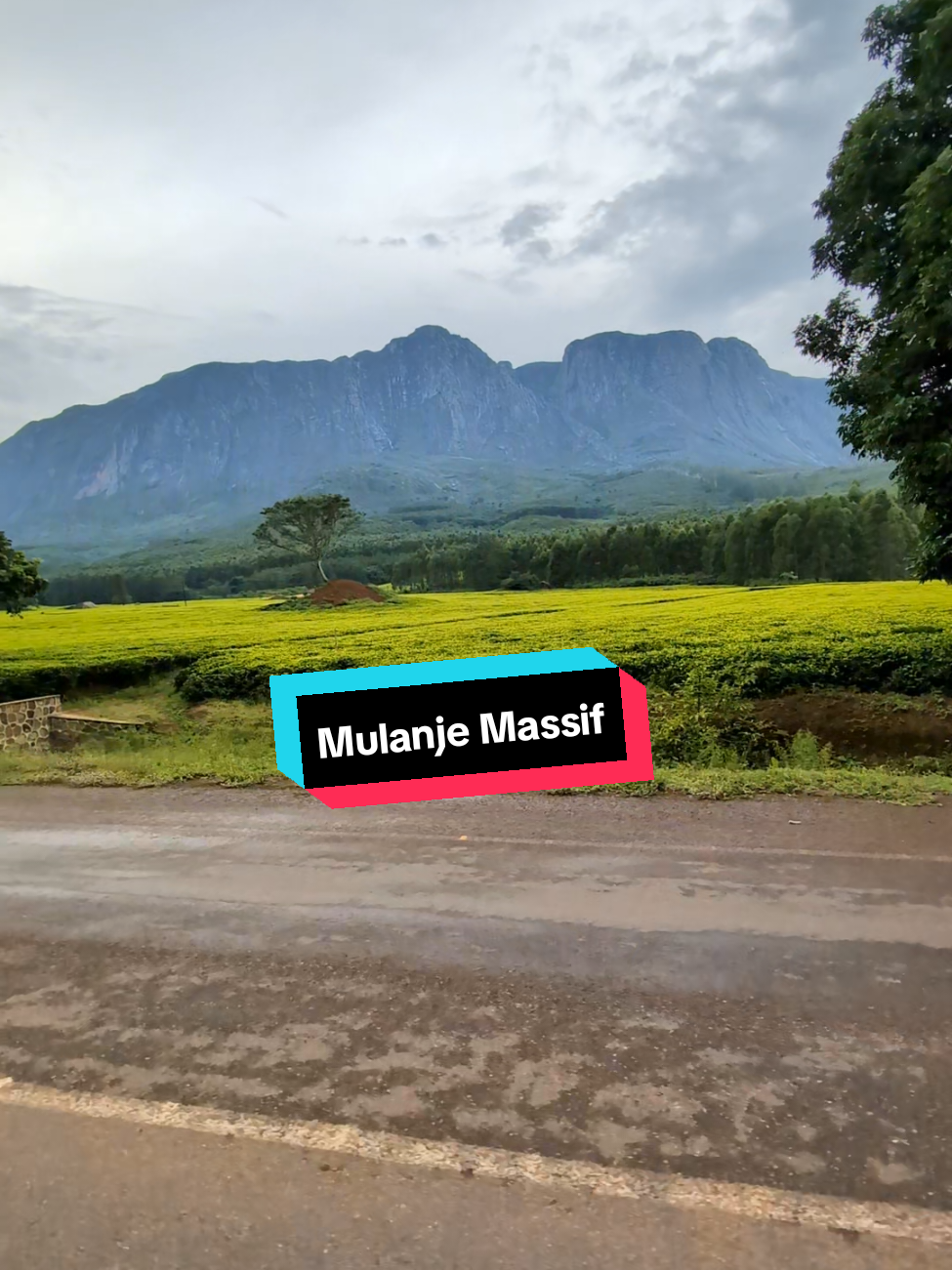 @The Melody Road