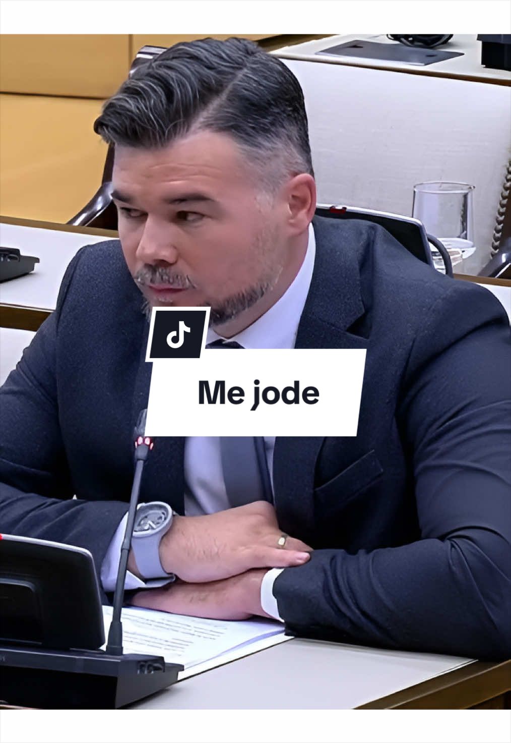 @Gabriel Rufián