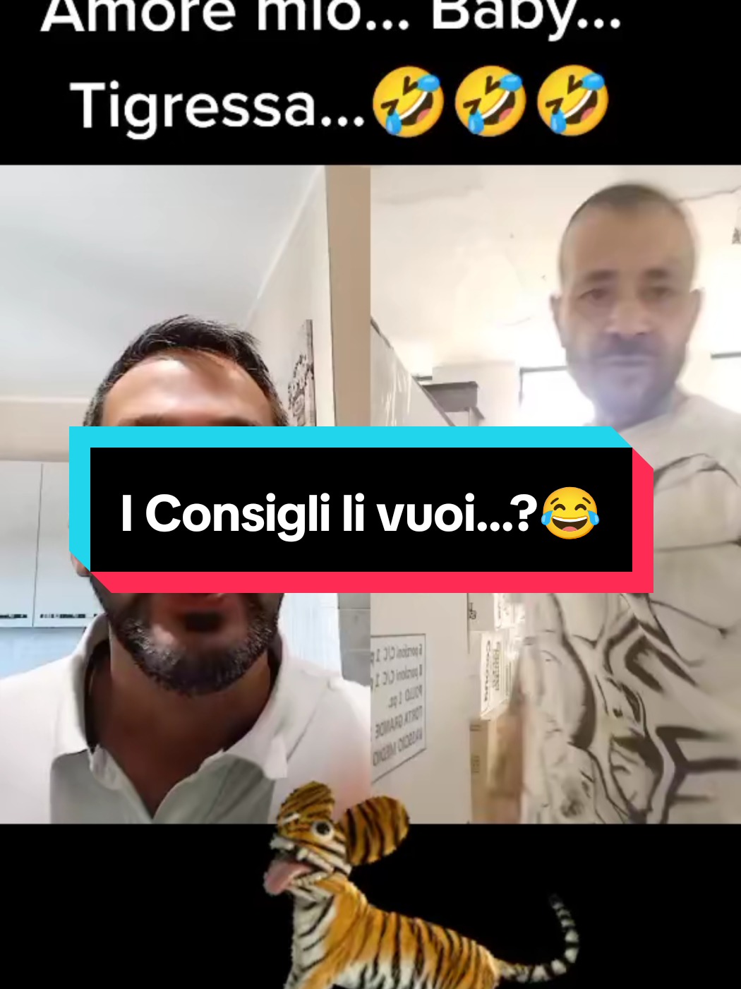 @Manuelnapo84