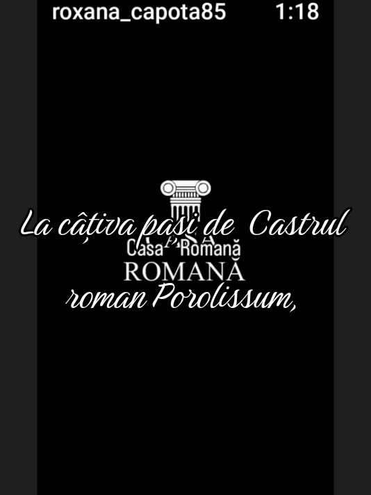 @Carmen Capota565