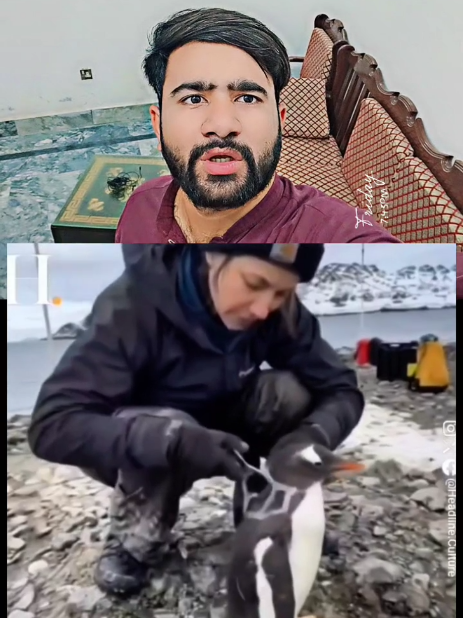 @manoreacts