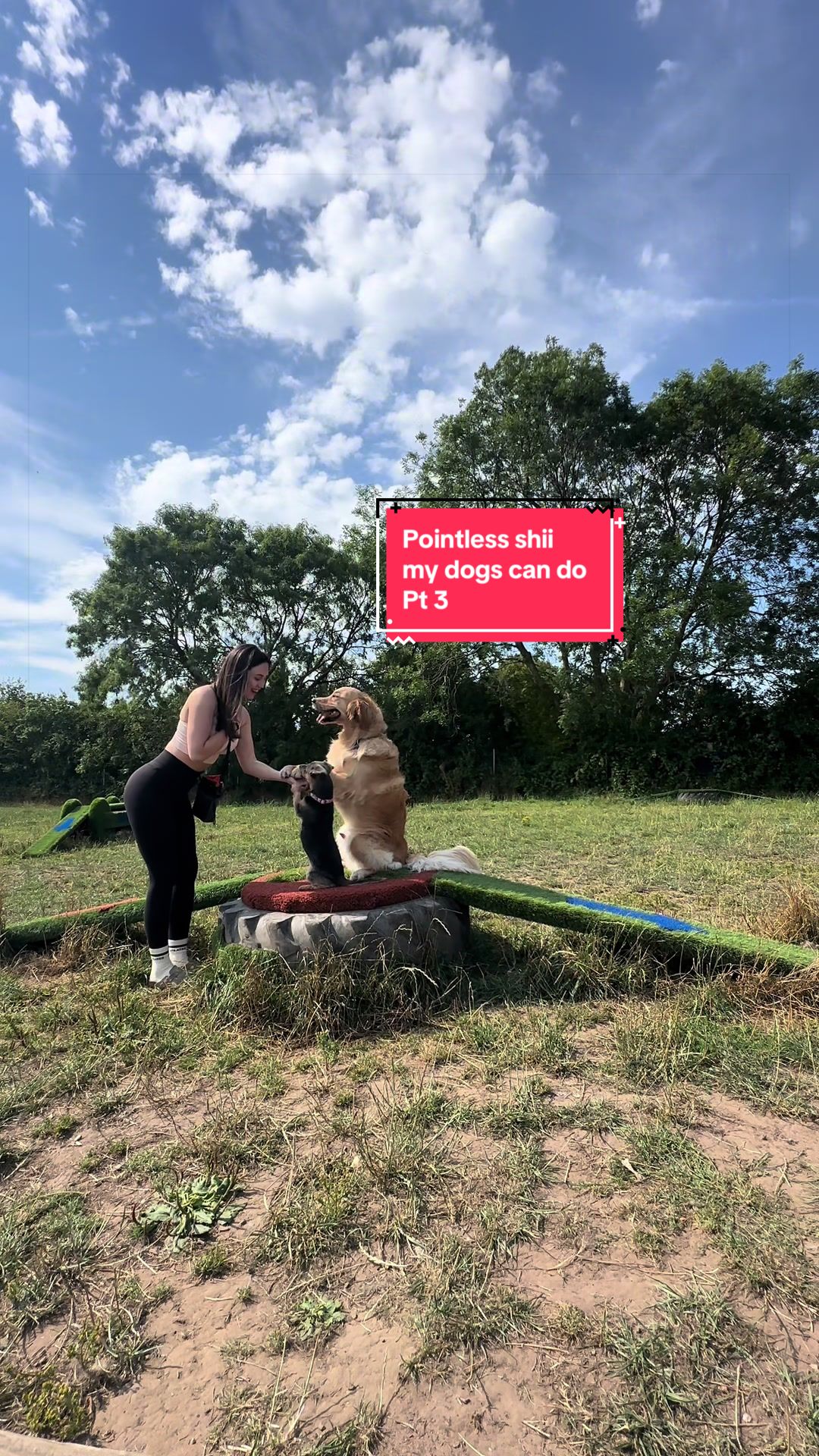@Sheldon The Retriever