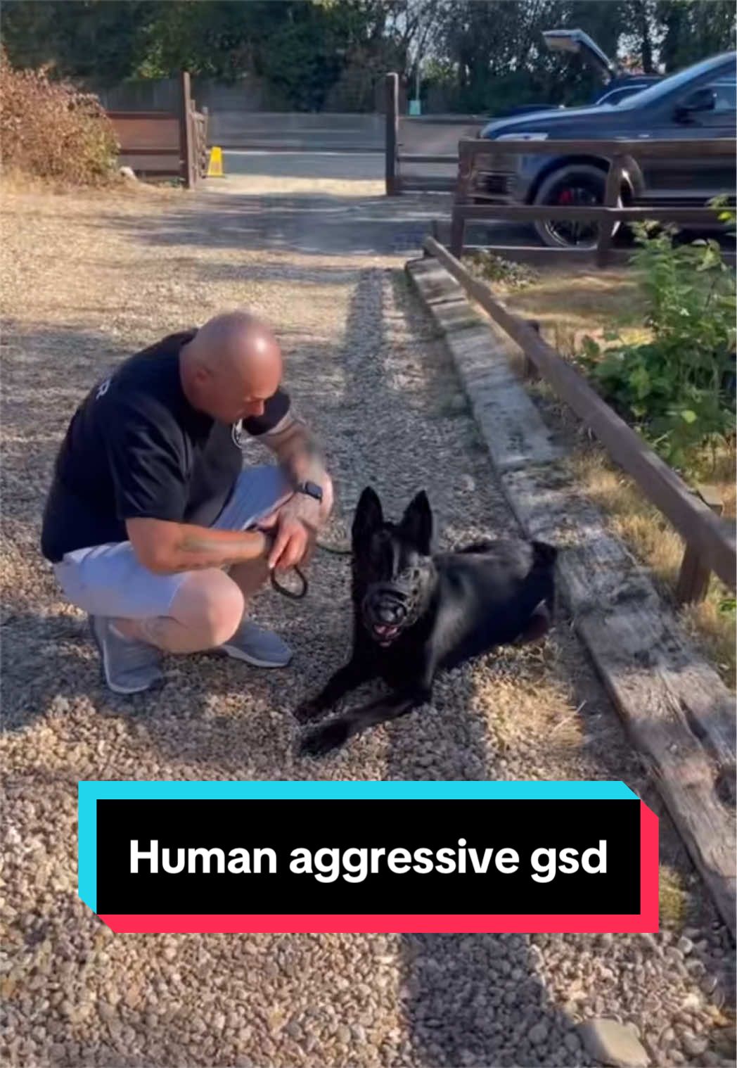 @LeeJonesOfficial Dog Training