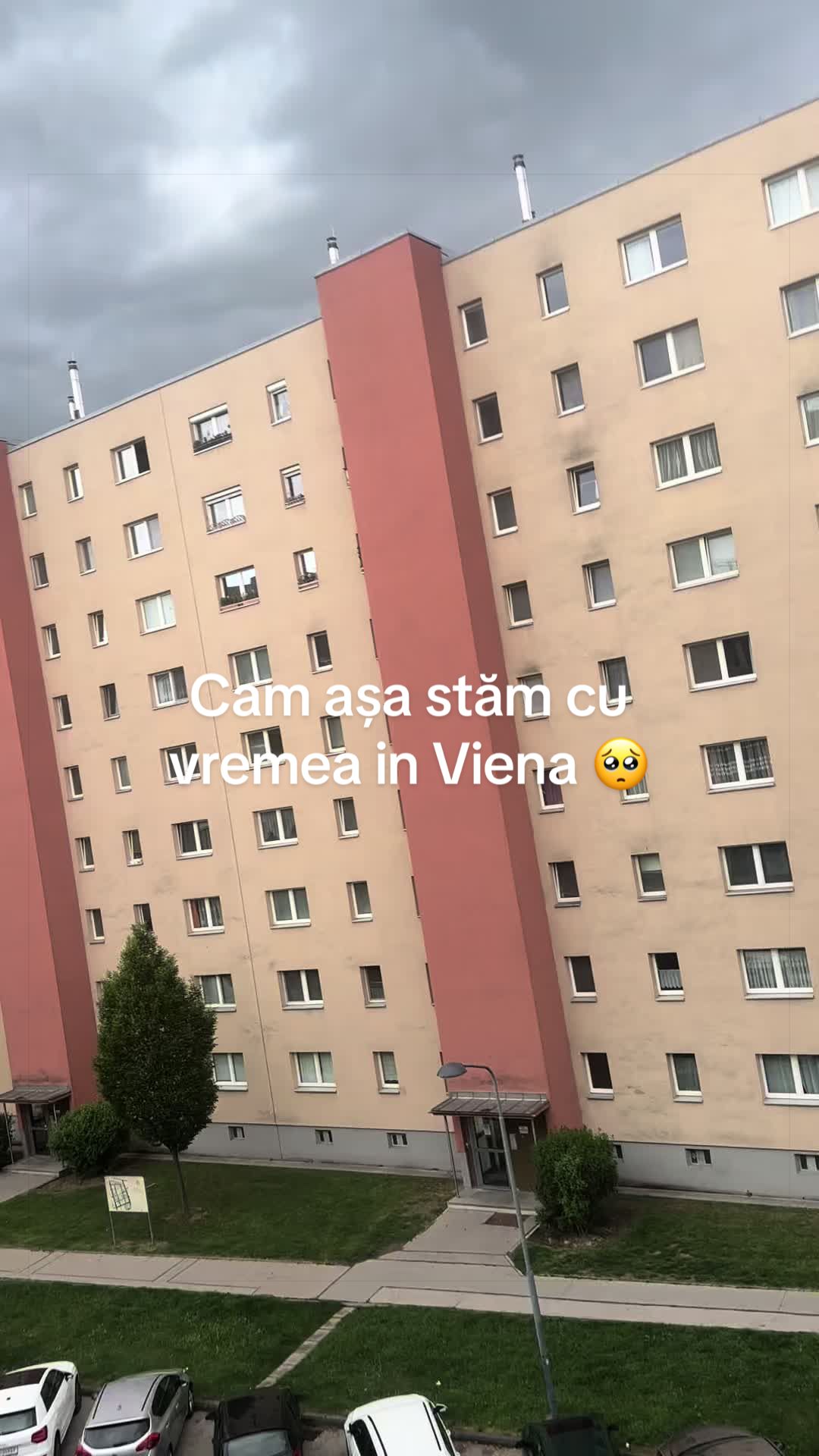 @Florentina Chitimus