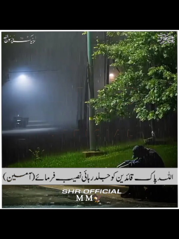 @SHR - OFFICIAL