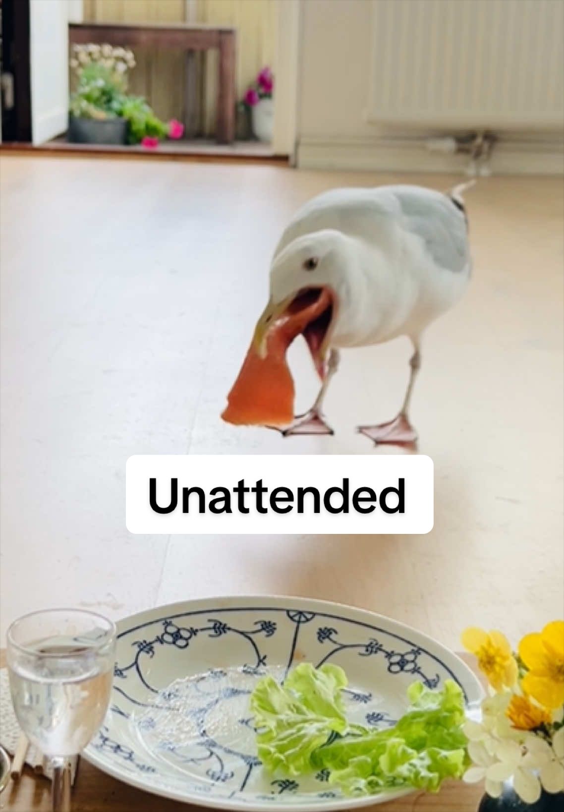 @Winston gull