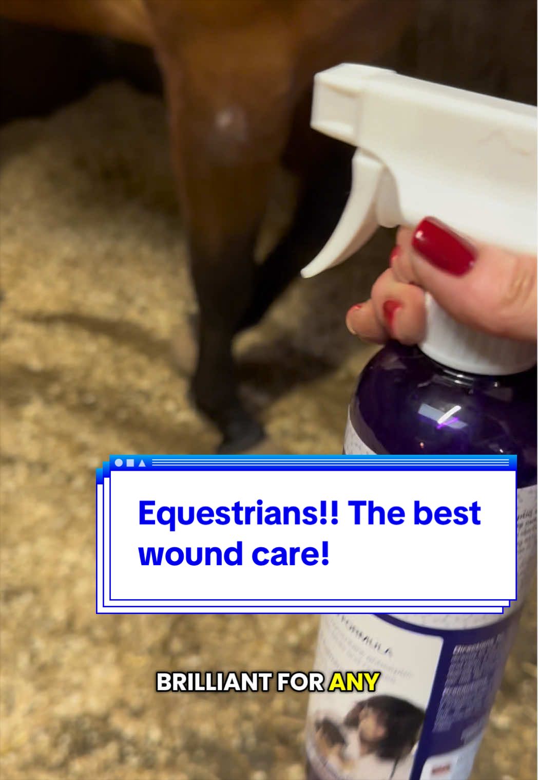 @PipsPonyPicks