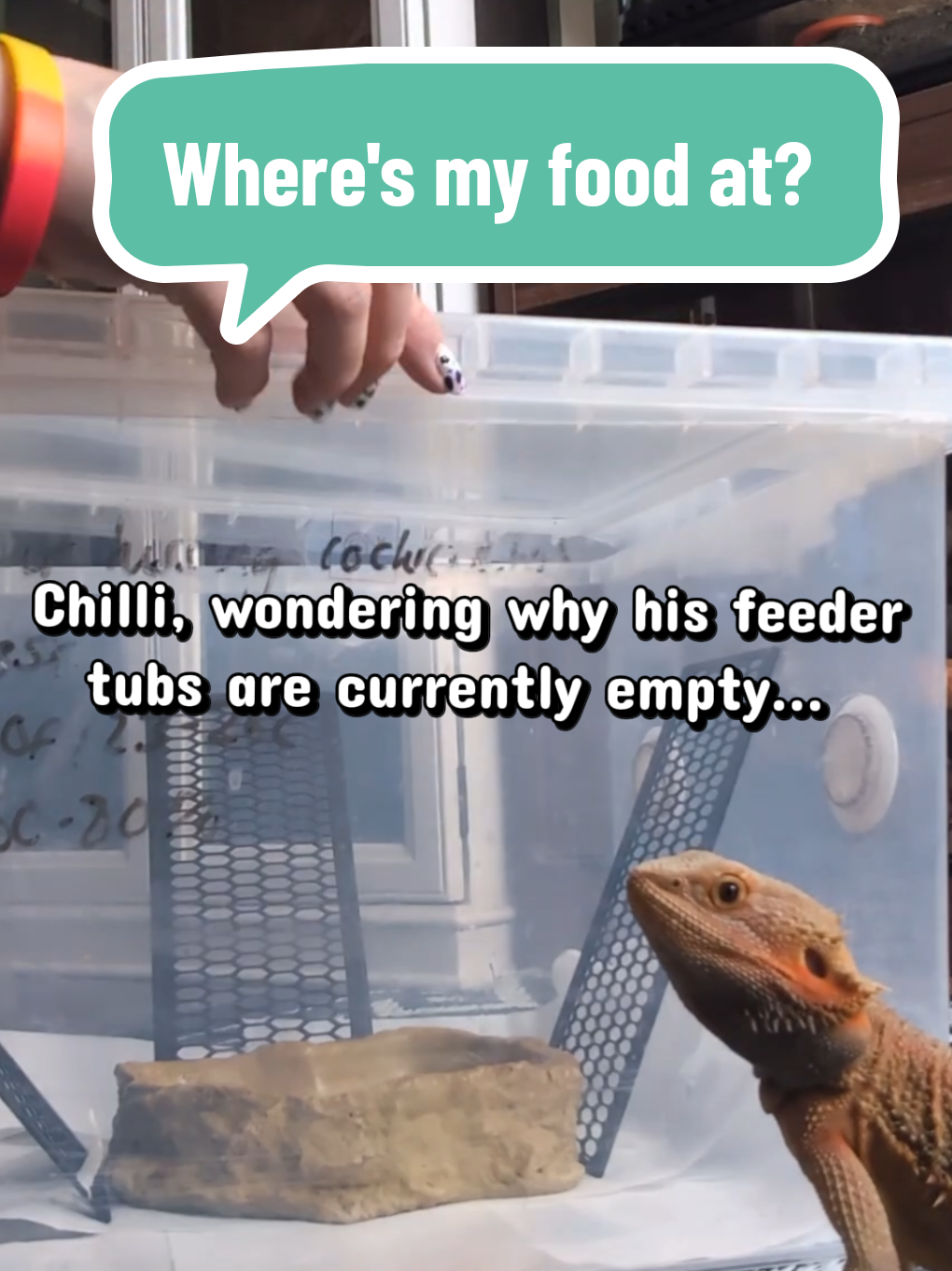 @Pets4people