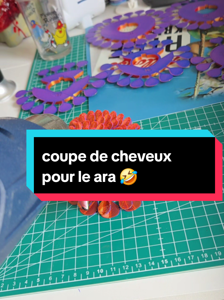 @zedge le ouf