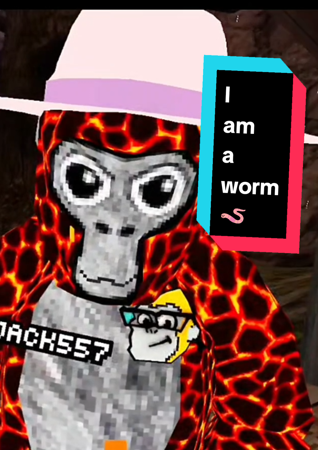 @๐ฌ๐๐๐๐ ๐ฆข๐