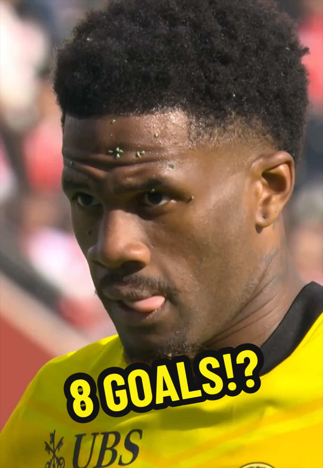 @BSC YOUNG BOYS