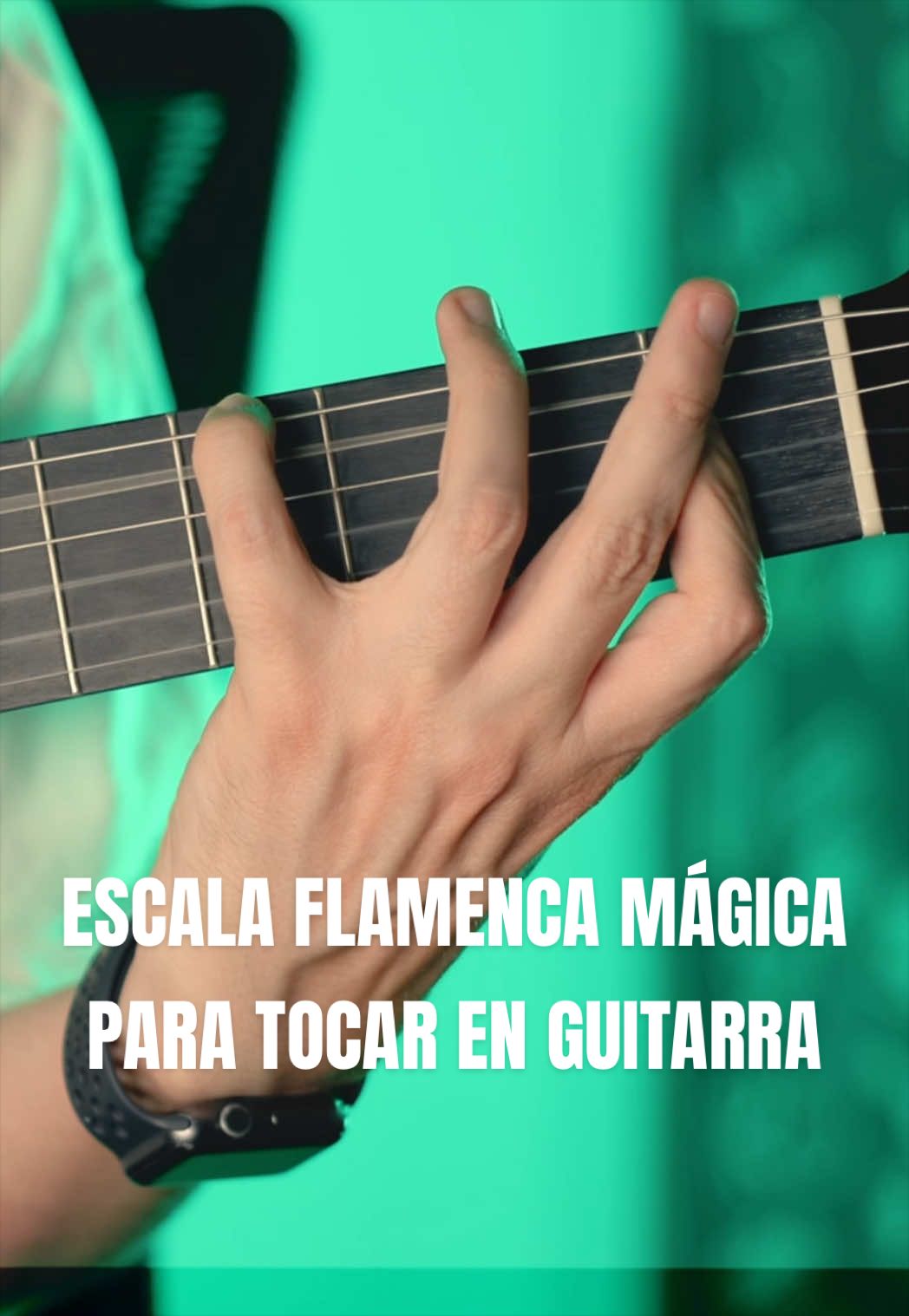 @pepecarmonamusic