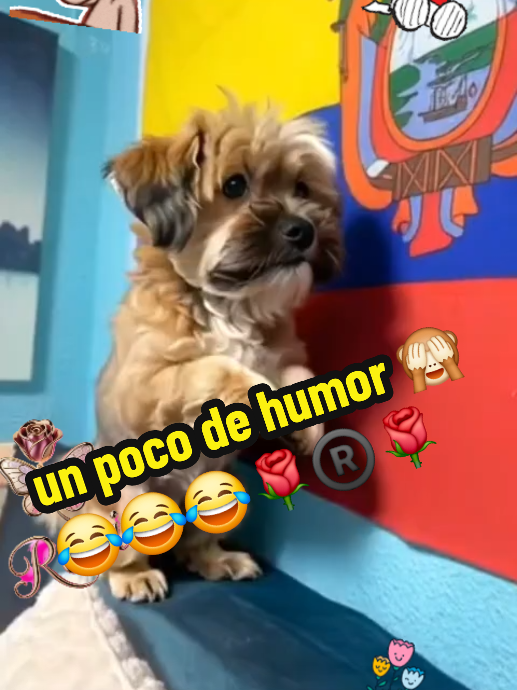 @🌹Rocío🌹46🇪🇨❤️