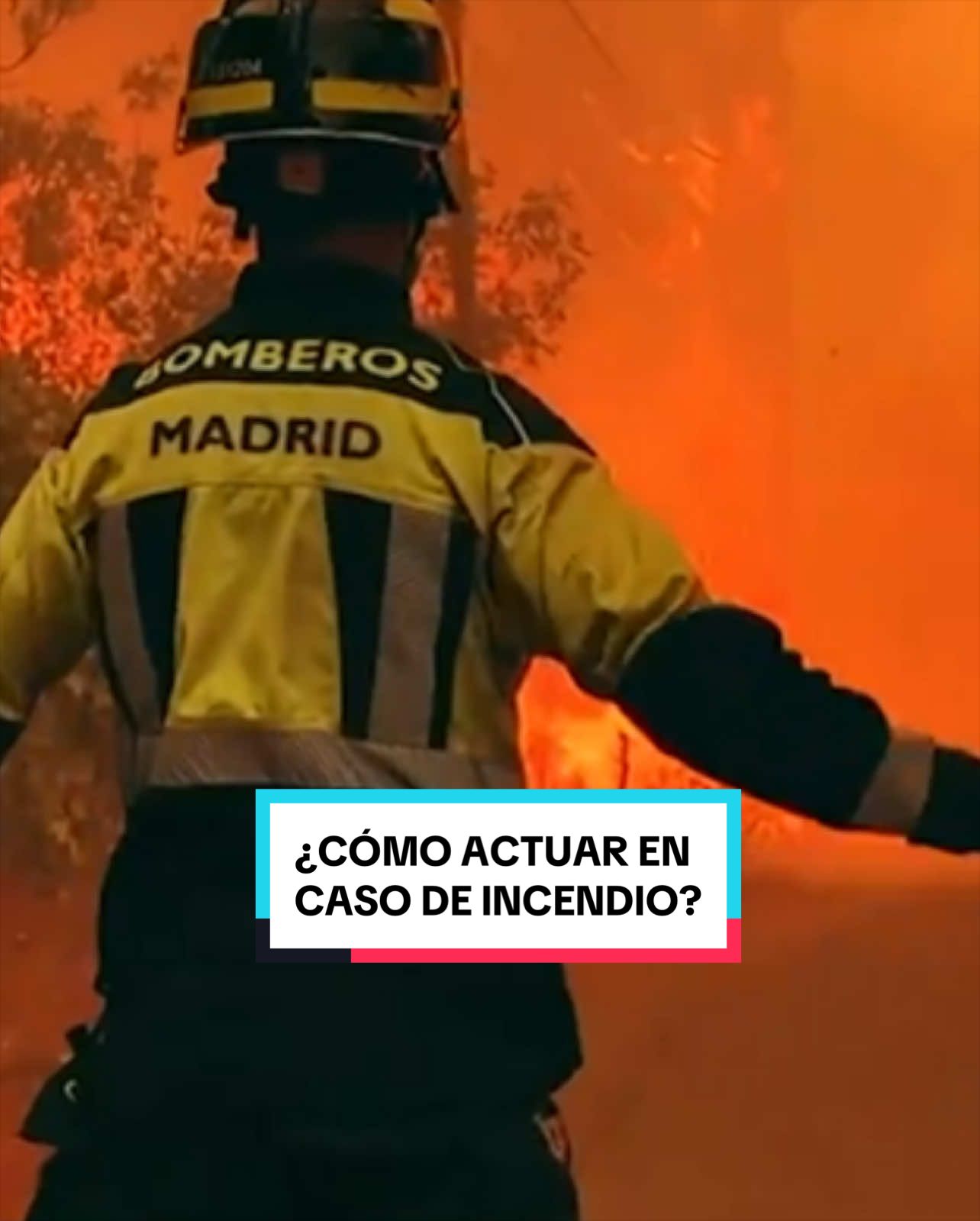 @La1 de TVE