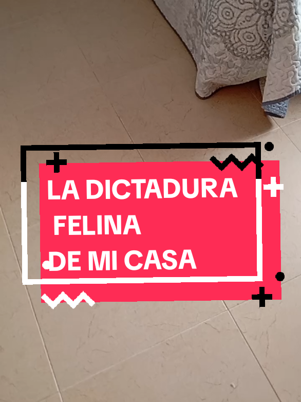 @Rosi Ramos