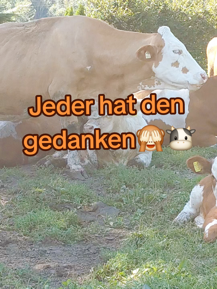 @Julia Kaindl