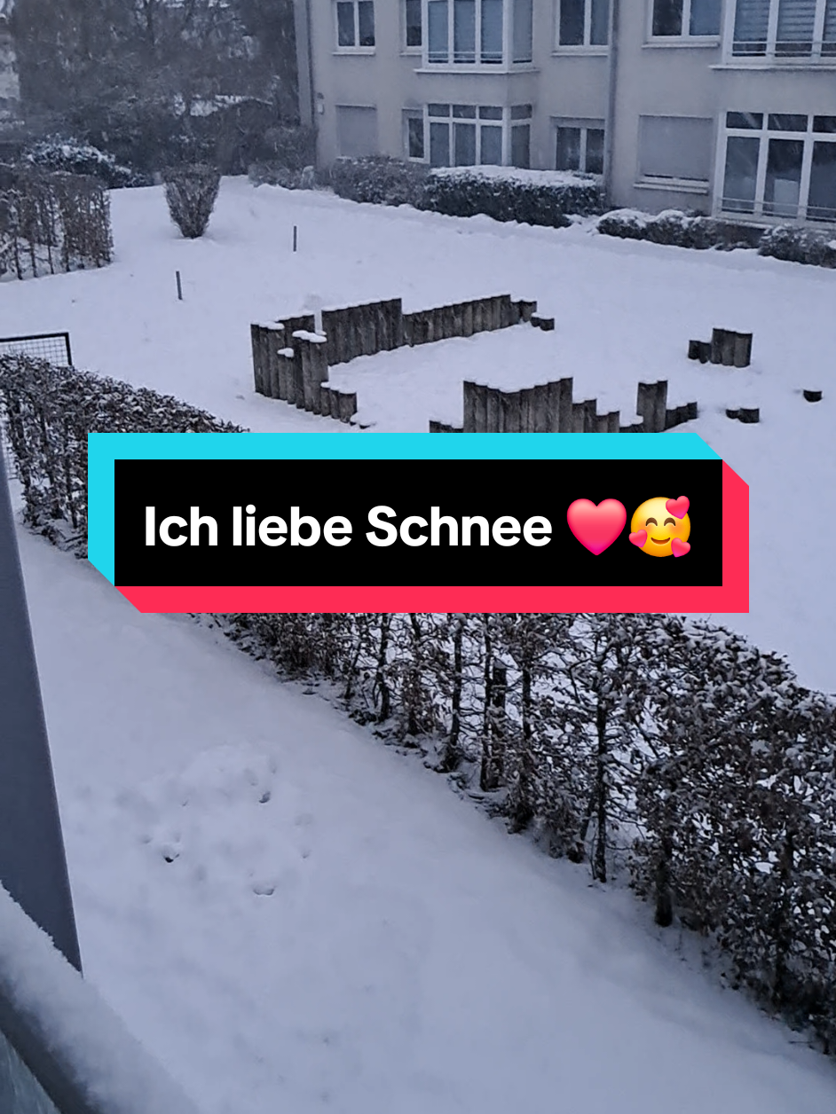 @KüchenFee 🧚♂️💫A.N.A.A💖