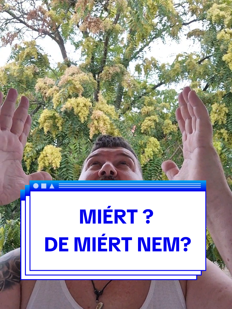 @Benedek Ferk&oacute;