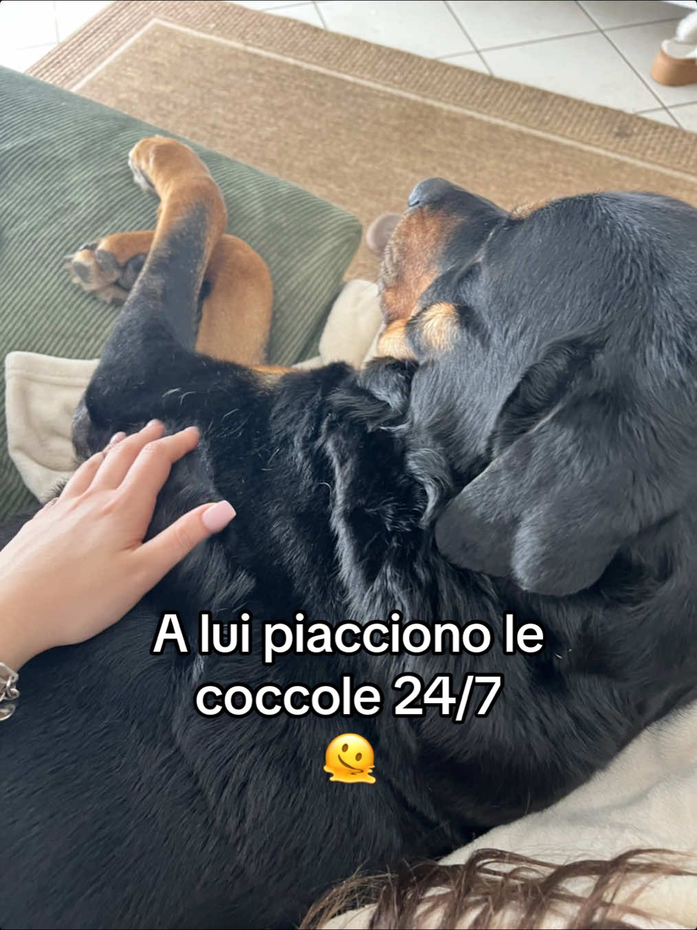 @Silvana Caramia