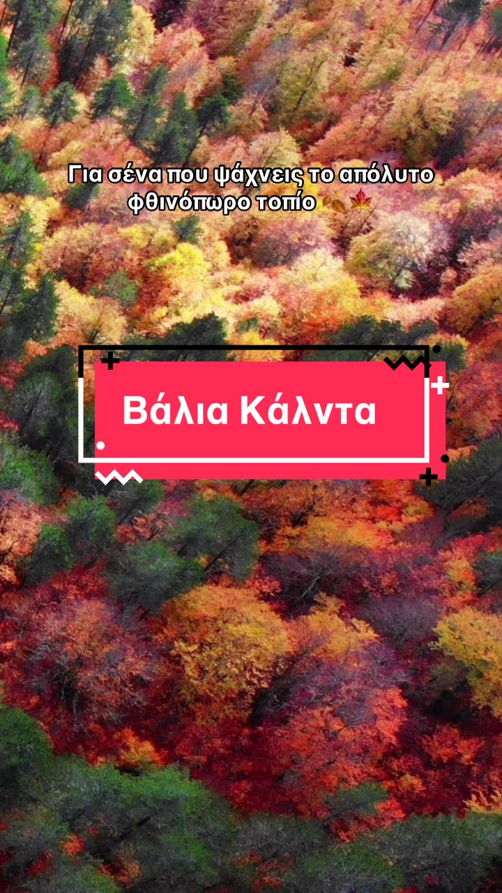 @Dimitris Karvelis