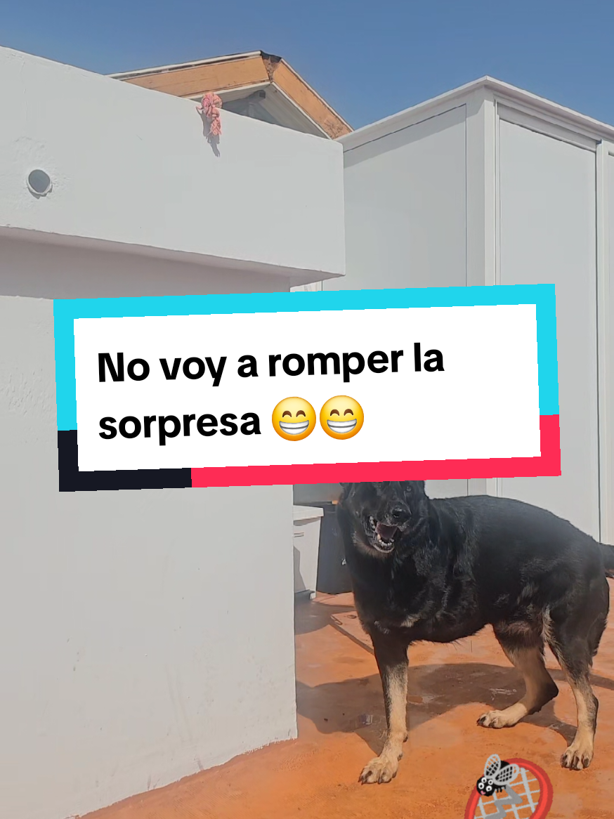 @🌷Gloria🌞sol🌞deCanarias