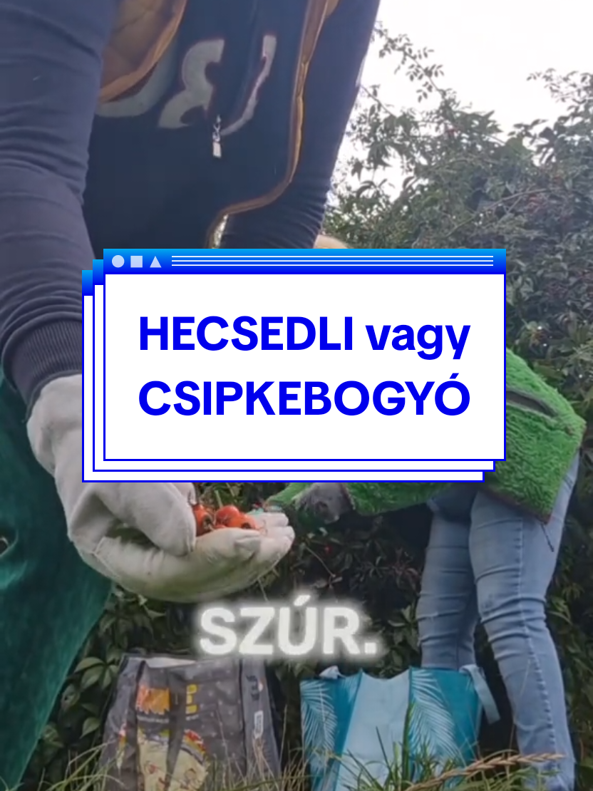 @Benedek Ferkó