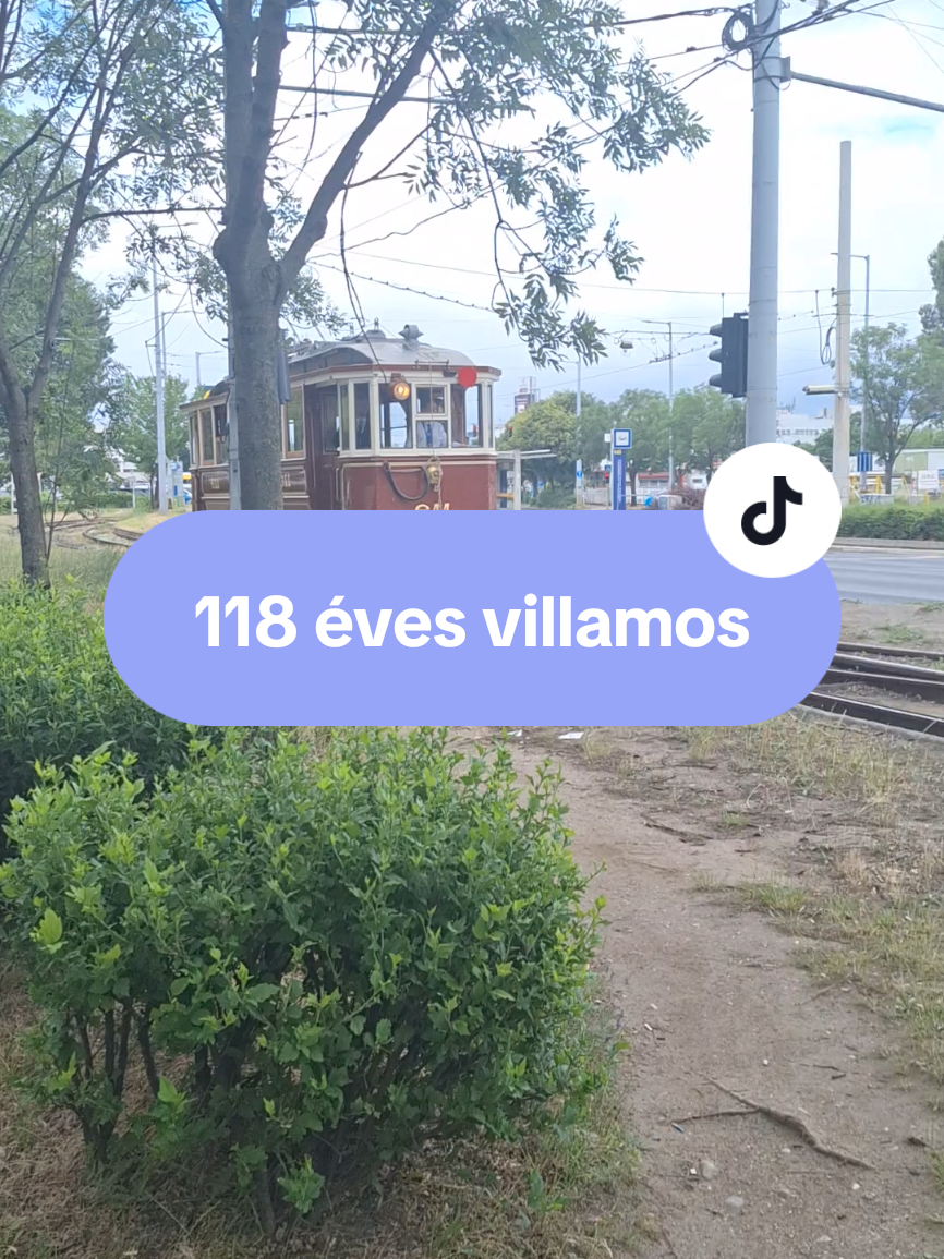 @PTF - Public Transport Fan