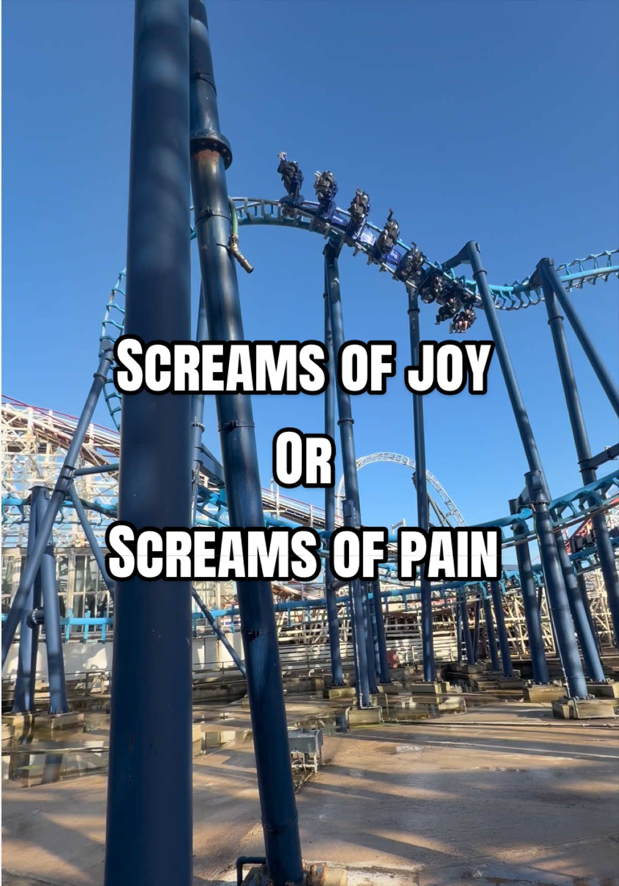 @Rollershires