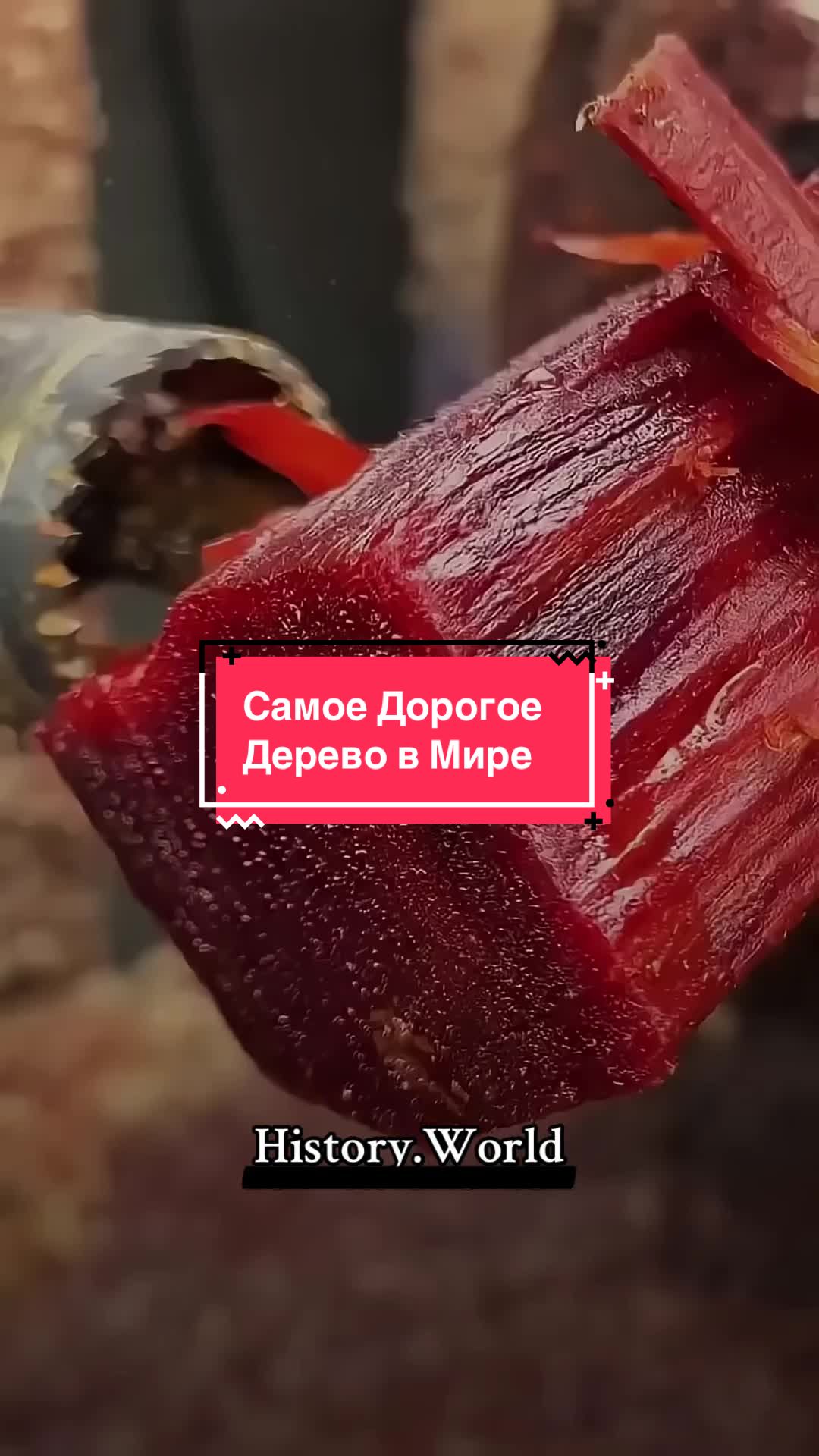 @History.World