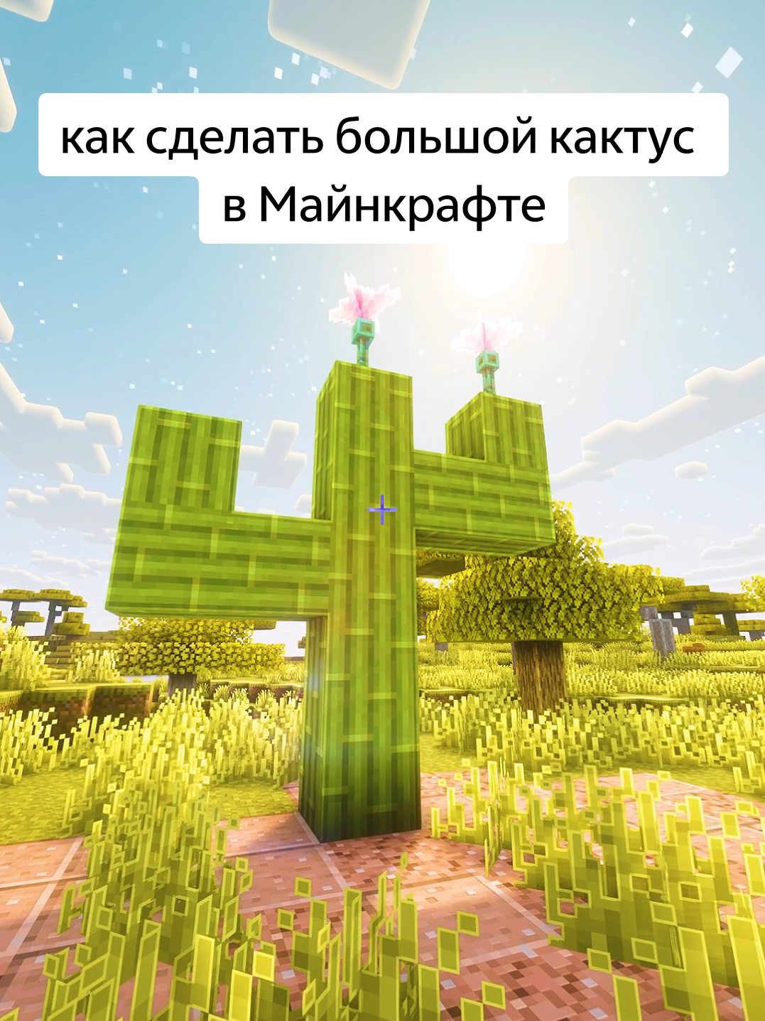 @Мурзик ТяН
