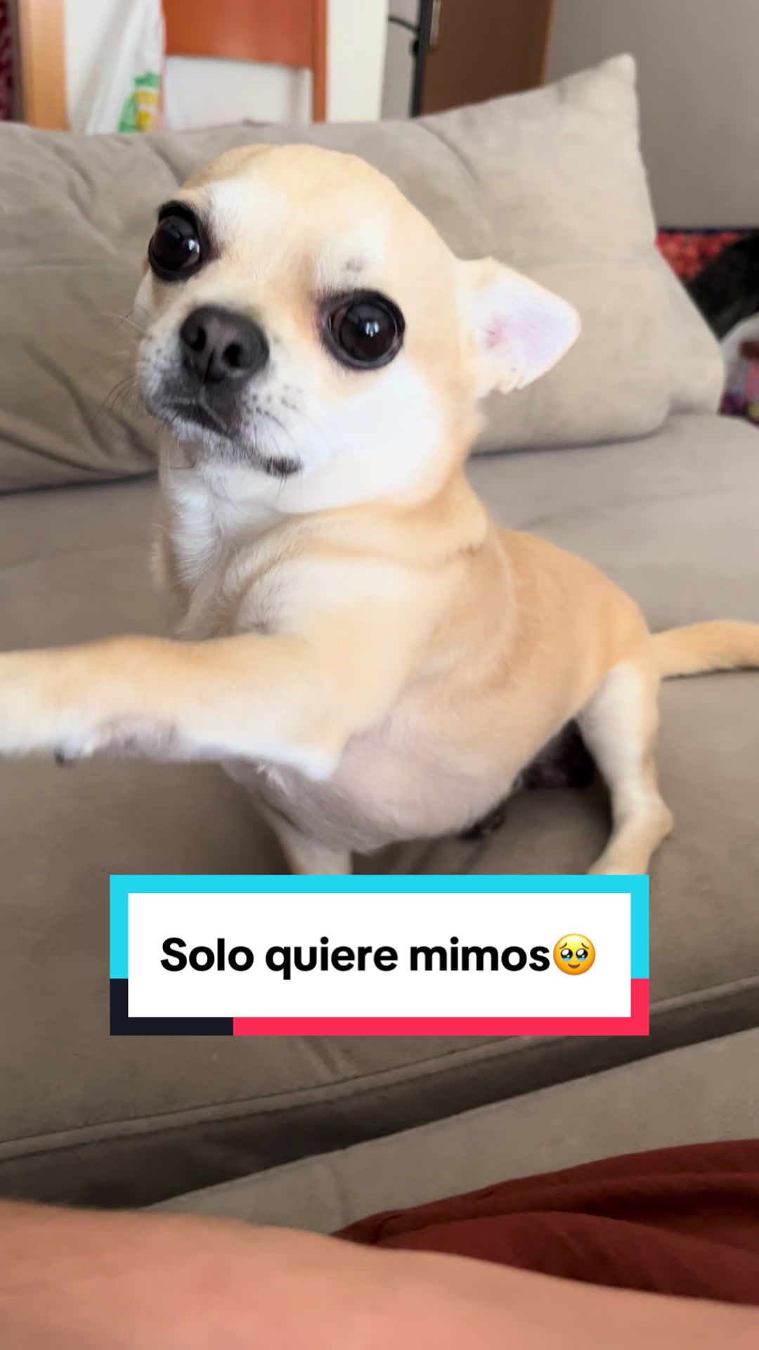 @Leticia