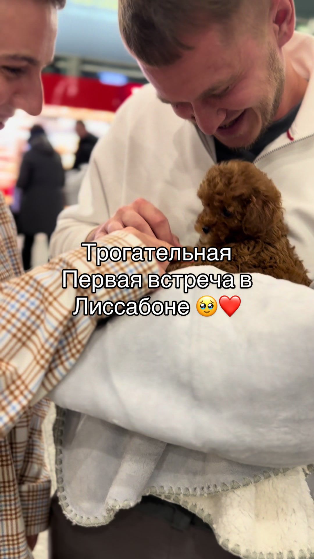 @Royalpuppy.world