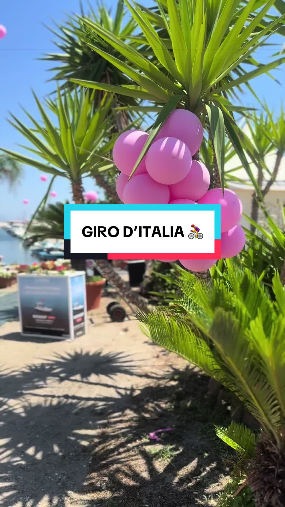 @𝐄𝐥𝐢𝐬𝐚 𝐑𝐮𝐩𝐢𝐥
