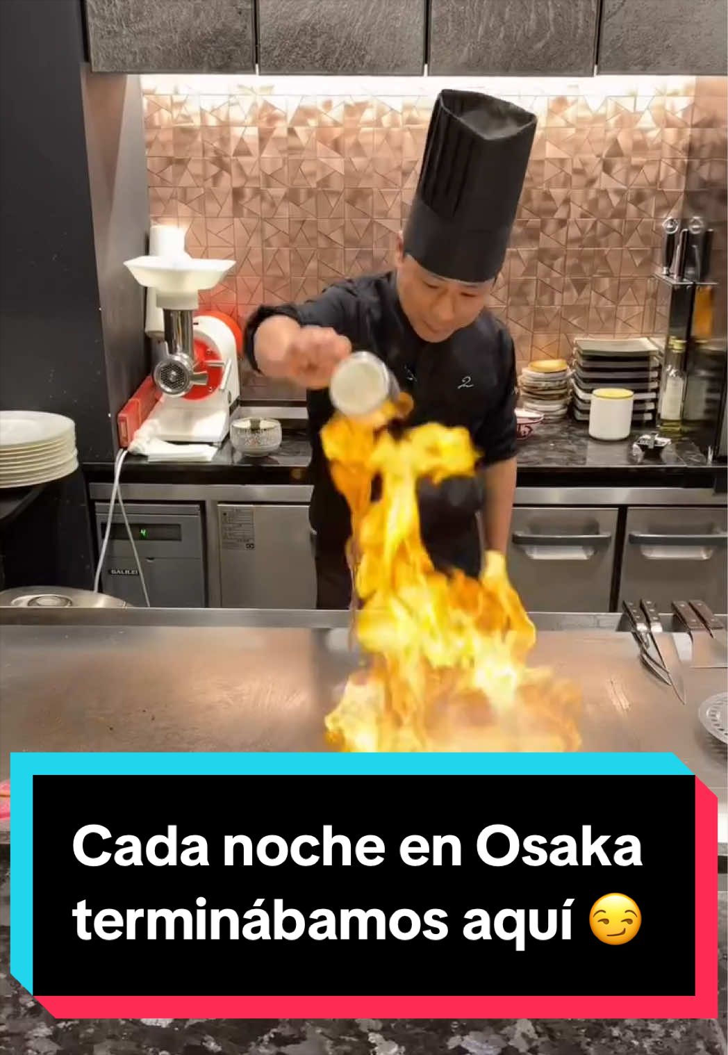 @Jap&oacute;n Alternativo
