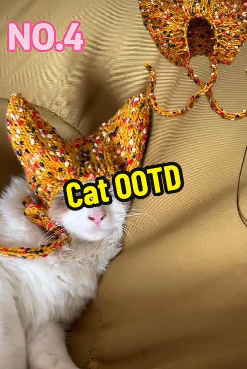 @DIY kitten