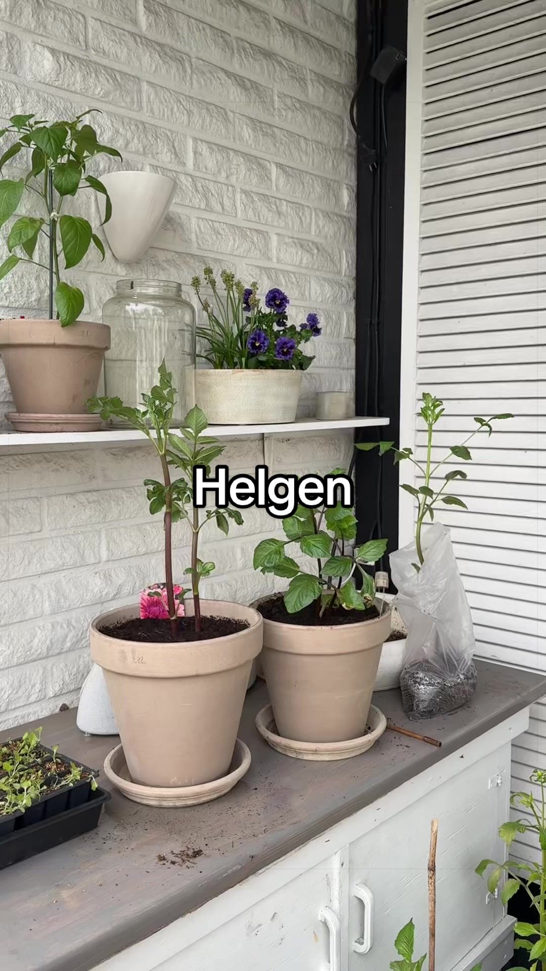 @Therése