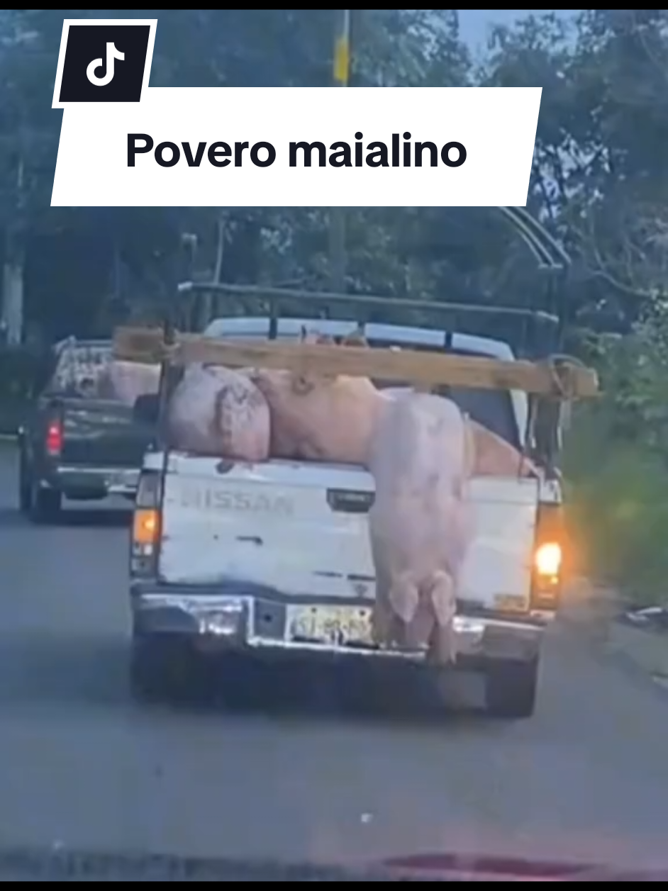 @giannidellatti
