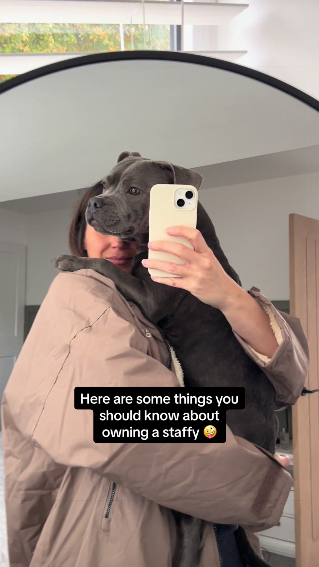 @Zeus the Blue Staffy⚡️