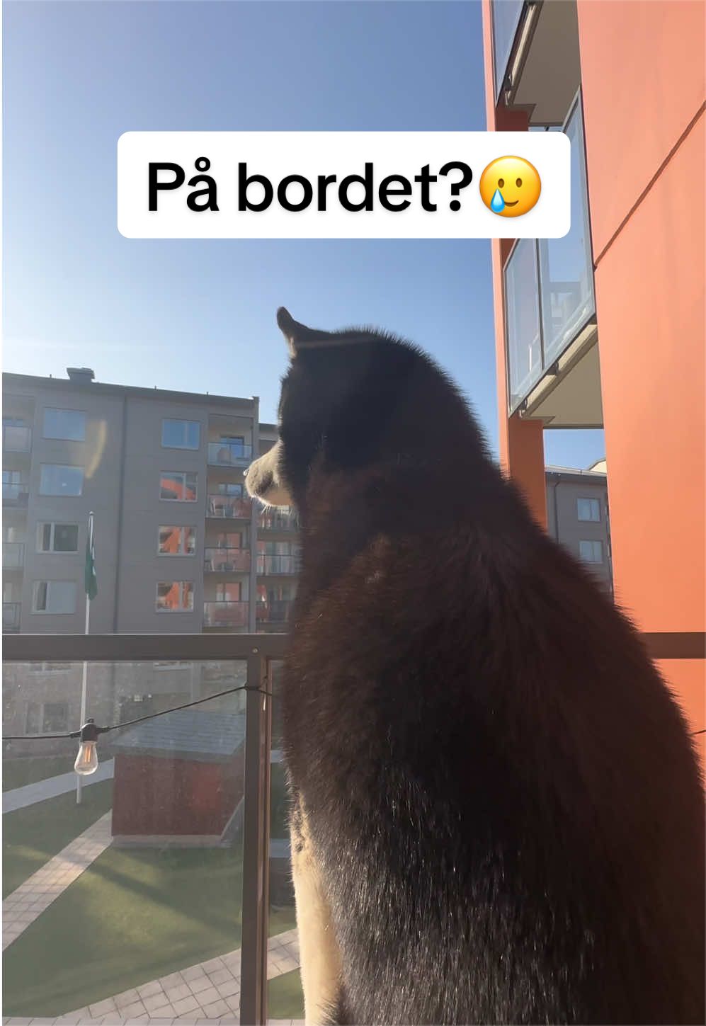 @Lisen Ekvall