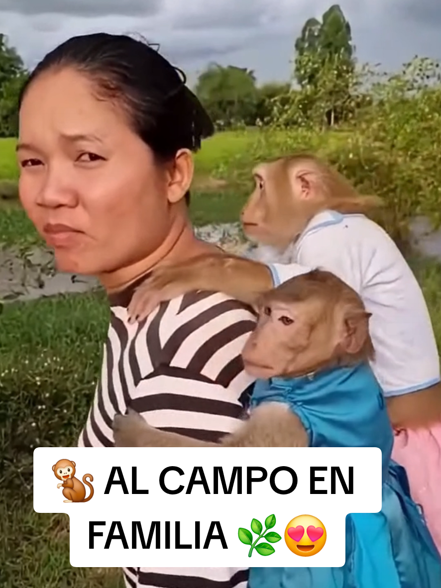 @monkeyYAYA