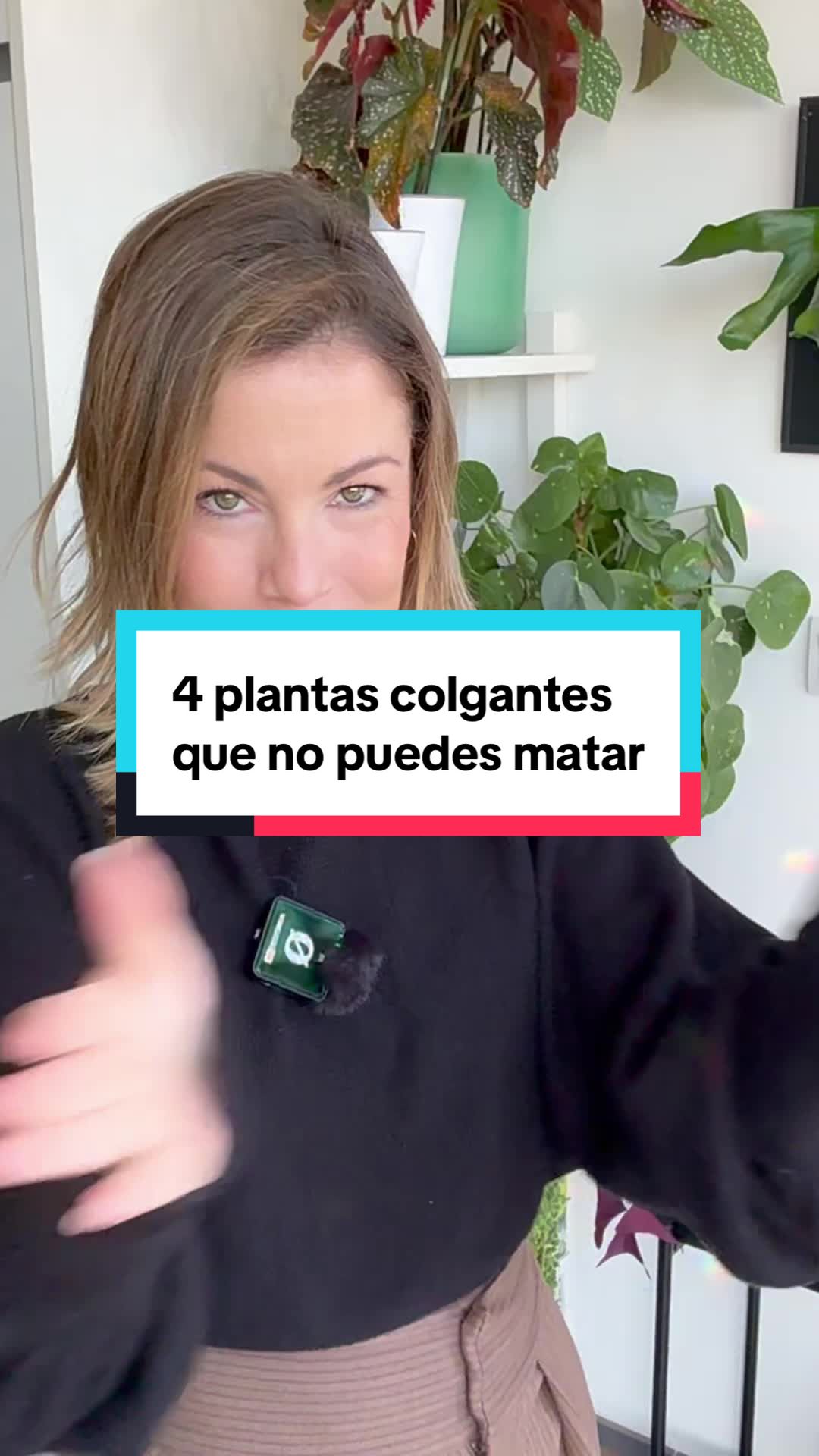 @🌱 En Abril Hojas Mil 🌱