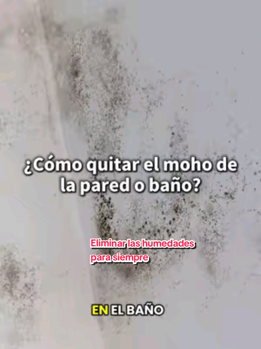 @Cofan.es